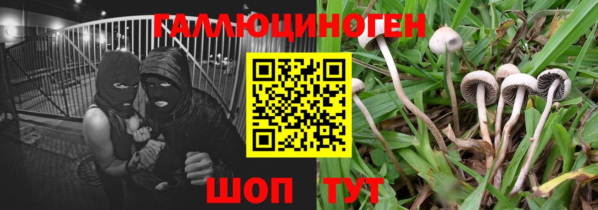 Галлюциногенные грибы Psilocybine cubensis  Вход с VPN  Малгобек  Галлюциногенные грибы ЛСД 