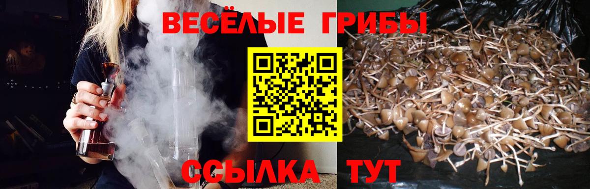Псилоцибиновые грибы MAGIC MUSHROOMS Малгобек